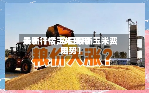 关于【今玉米费用最新行情,今日最新玉米费用走势】-第2张图片