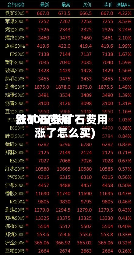 铁矿石费用涨100(铁矿石费用涨了怎么买)-第2张图片
