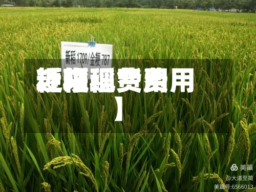 近来【粳稻费用粳稻现货费用】-第3张图片