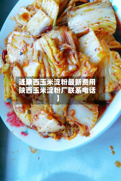近来【陕西玉米淀粉最新费用陕西玉米淀粉厂联系电话】