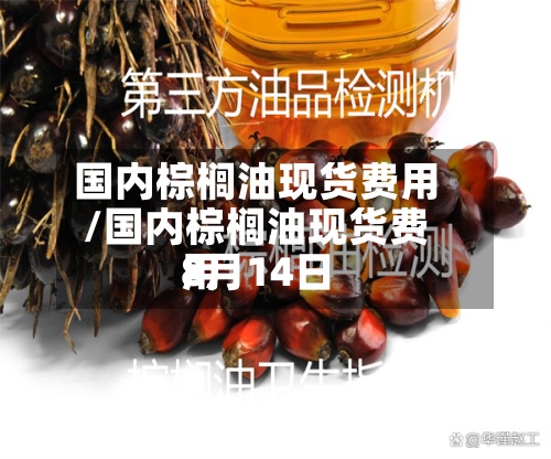 国内棕榈油现货费用/国内棕榈油现货费用8月14日-第2张图片