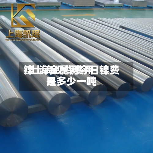 镍上海现货费用/上海金属网今日镍费用是多少一吨