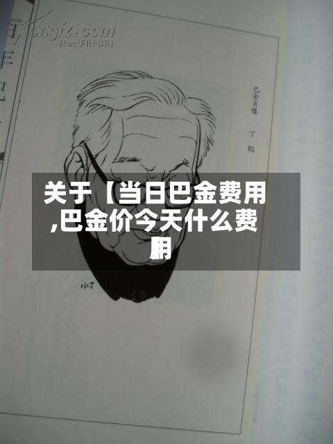 关于【当日巴金费用,巴金价今天什么费用】