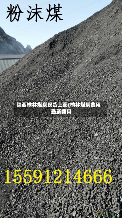 陕西榆林煤炭现货上调(榆林煤炭费用最新费用涨了吗)-第3张图片