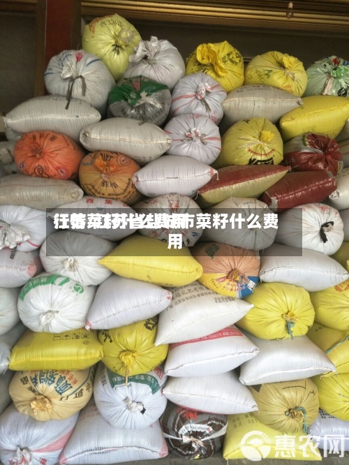 江苏菜籽什么费用行情/江苏省盐城市菜籽什么费用-第3张图片