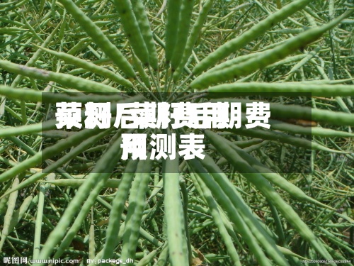 菜籽后期费用预测/菜籽后期费用预测表-第3张图片