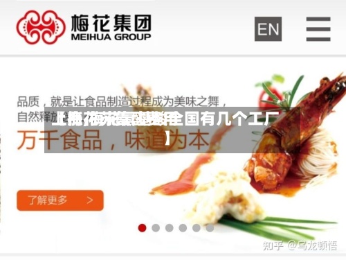 【梅花苏氨酸费用上涨,梅花氨基酸全国有几个工厂】