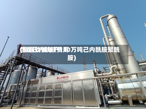 恒逸己内酰胺费用
(恒逸钦州年产120万吨己内酰胺聚酰胺)-第2张图片