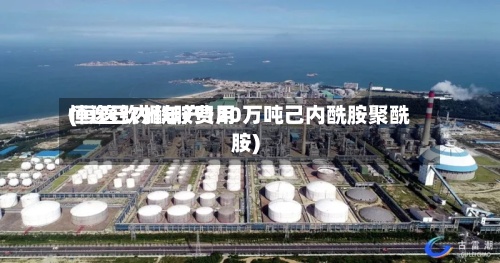恒逸己内酰胺费用
(恒逸钦州年产120万吨己内酰胺聚酰胺)-第3张图片