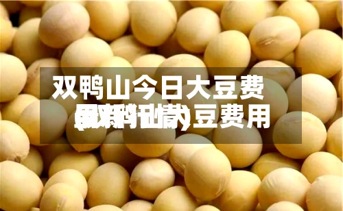 双鸭山今日大豆费用(双鸭山大豆费用最新行情)-第3张图片