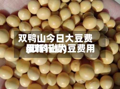 双鸭山今日大豆费用(双鸭山大豆费用最新行情)-第2张图片