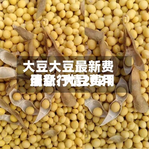 大豆大豆最新费用消息/大豆费用最新行情2021