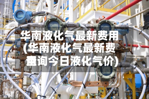 华南液化气最新费用(华南液化气最新费用查询今日液化气价)-第2张图片