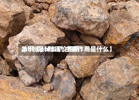 关于【pb粉现价费用,pb粉是什么矿,主要作用是什么】-第3张图片