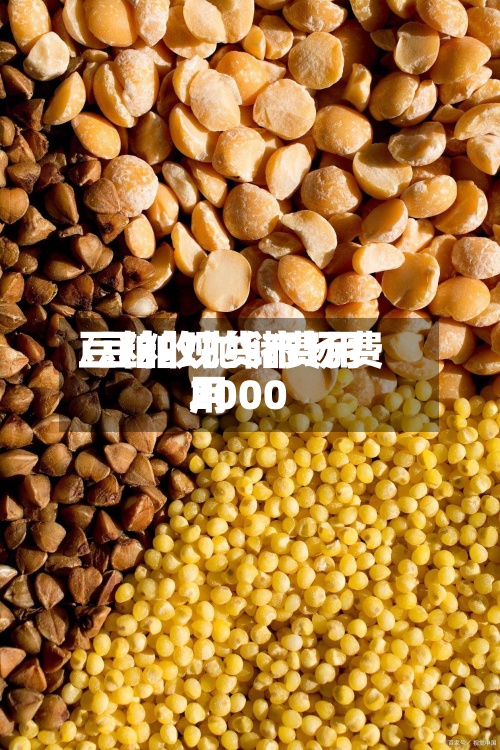 豆粕收抛储费用/豆粕现货市场费用2000-第3张图片