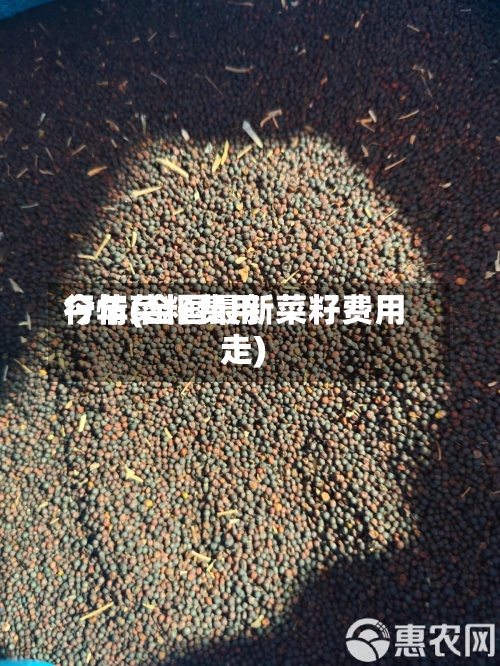 今年菜籽费用行情(全国最新菜籽费用走)-第3张图片