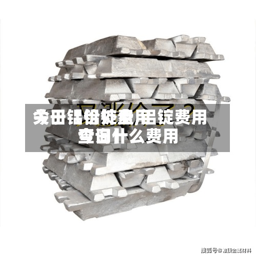 关于【铝锭费用今日铝价外盘,铝锭费用今日什么费用查询】-第2张图片