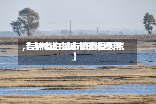 【吉林省白城市玉米费用,吉林省白城市镇赉县天气】-第2张图片