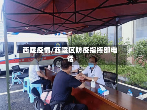 西陵疫情/西陵区防疫指挥部电话-第2张图片