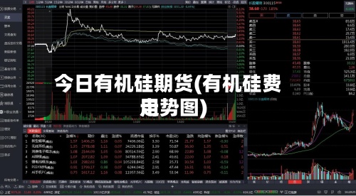 今日有机硅期货(有机硅费用走势图)-第2张图片
