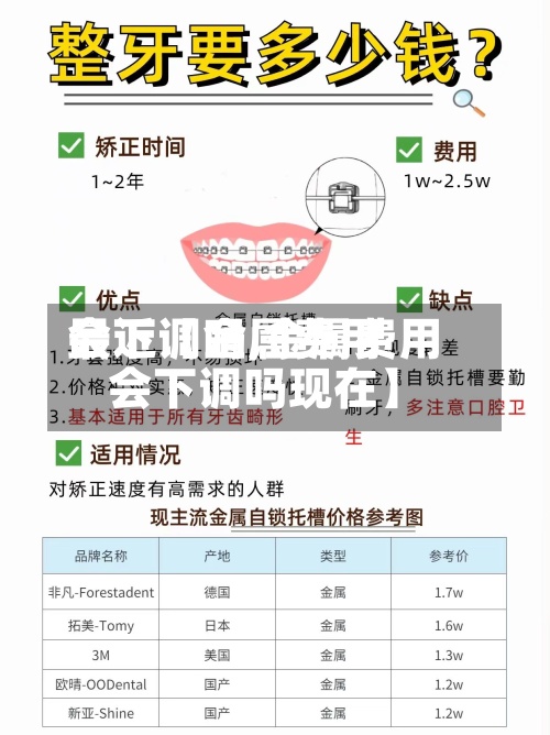最近【金属费用会下调吗,金属费用会下调吗现在】-第2张图片