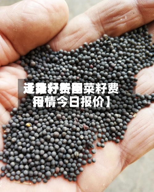 近来【菜籽费用走势分析图菜籽费用行情今日报价】