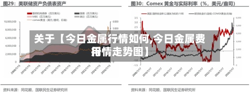 关于【今日金属行情如何,今日金属费用行情走势图】-第2张图片