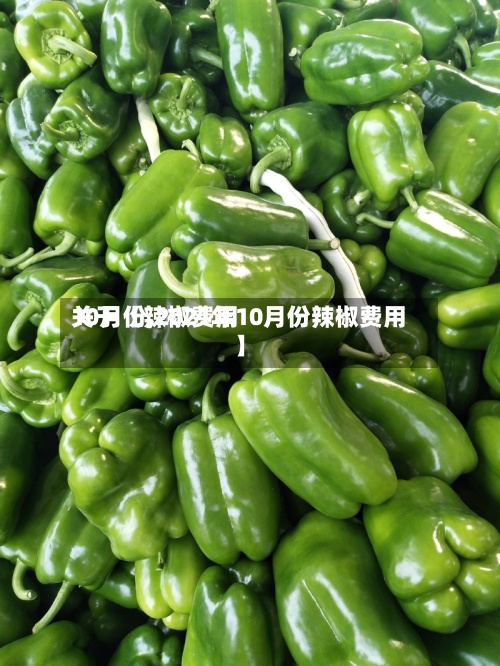 关于【辣椒费用10月份,2021年10月份辣椒费用】-第2张图片