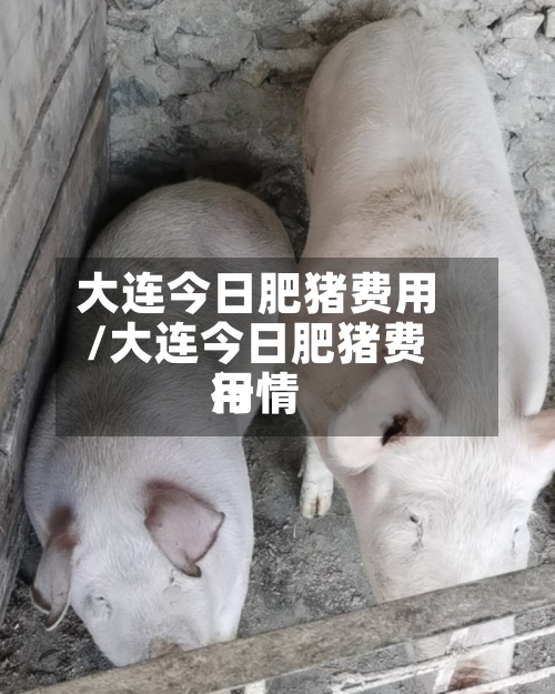 大连今日肥猪费用/大连今日肥猪费用行情