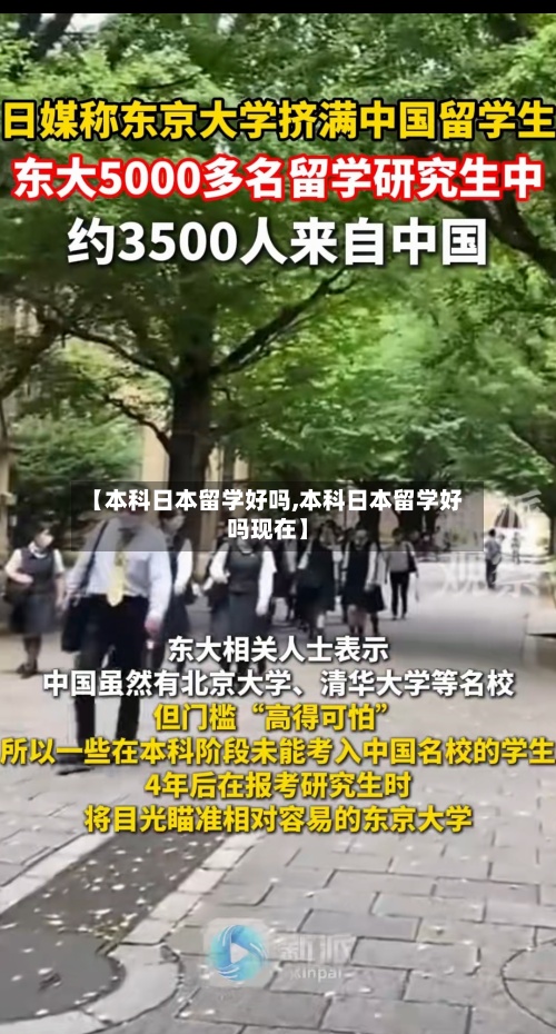 【本科日本留学好吗,本科日本留学好吗现在】