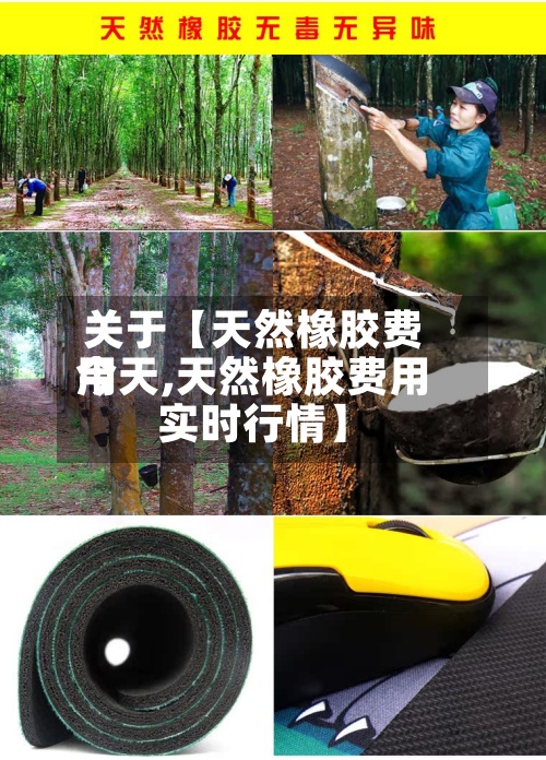 关于【天然橡胶费用今天,天然橡胶费用实时行情】-第2张图片