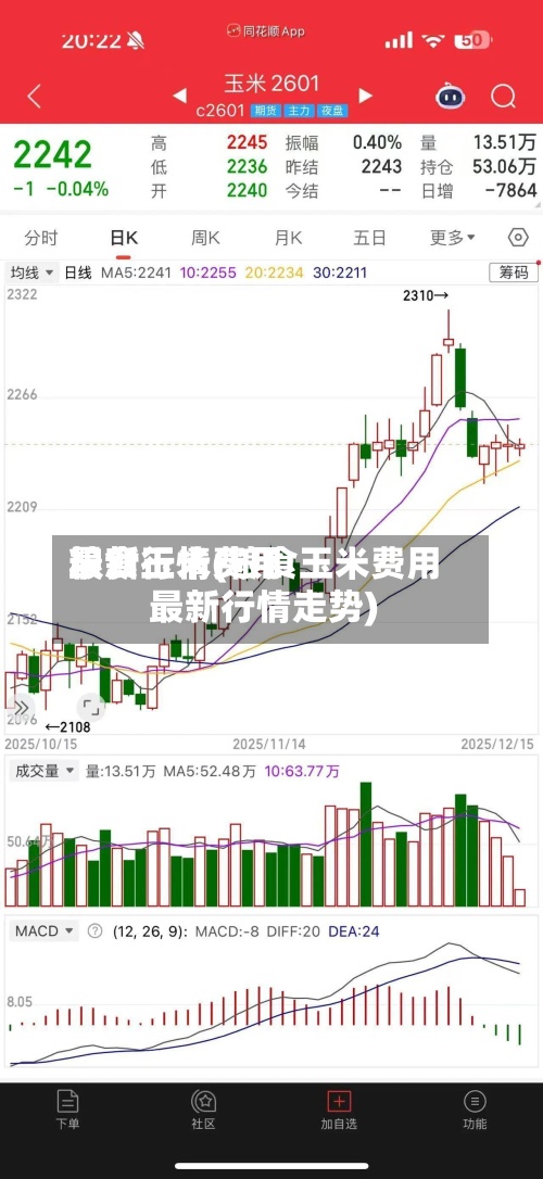 粮食玉米费用最新行情(粮食玉米费用最新行情走势)-第3张图片