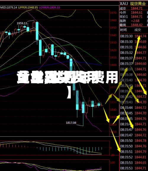 【世界黄金现货费用全年,世界黄金2021年费用】