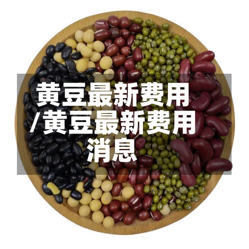 黄豆最新费用/黄豆最新费用消息