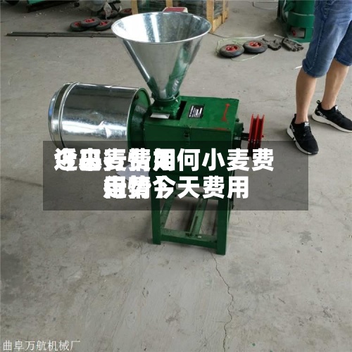 近来【小麦费用今日行情如何小麦费用行情今天费用走势】