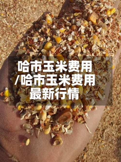 哈市玉米费用/哈市玉米费用最新行情-第2张图片
