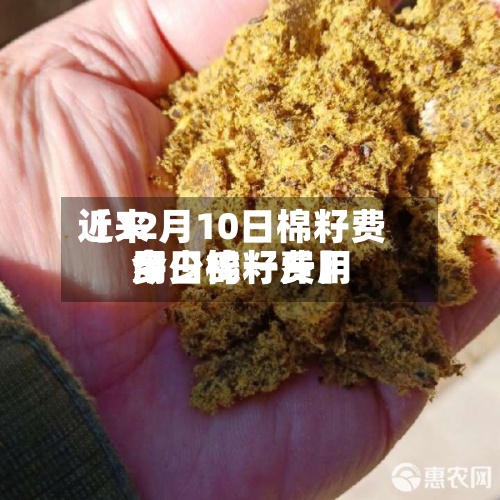 近来【12月10日棉籽费用今日棉籽费用多少钱一斤】-第2张图片