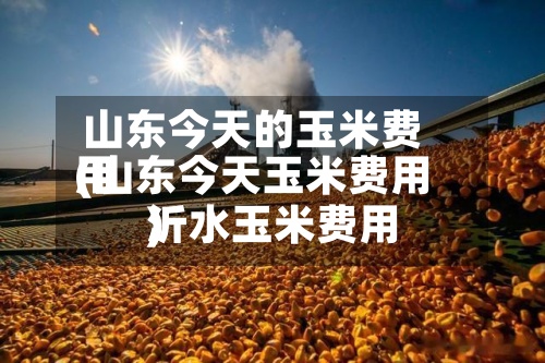 山东今天的玉米费用(山东今天玉米费用沂水玉米费用)-第2张图片