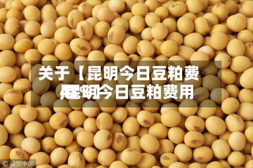 关于【昆明今日豆粕费用,昆明今日豆粕费用43%】-第3张图片