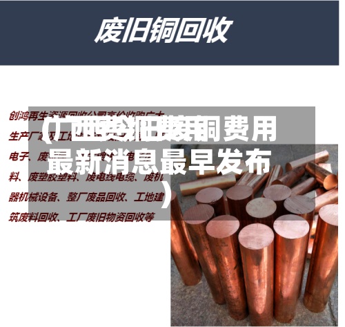 广西费铜费用(广西今日废铜费用最新消息最早发布)-第2张图片