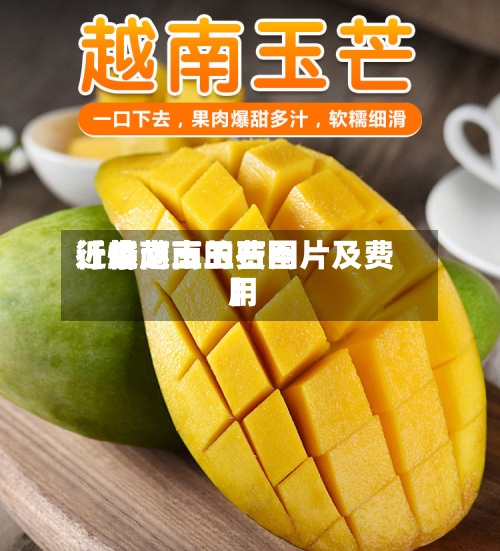 近来
【越南玉的费用
行情越南玉石图片及费用
】-第3张图片