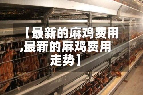 【最新的麻鸡费用,最新的麻鸡费用走势】