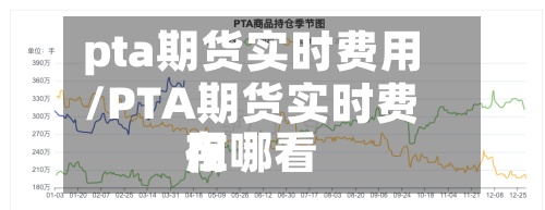 pta期货实时费用/PTA期货实时费用在哪看-第2张图片