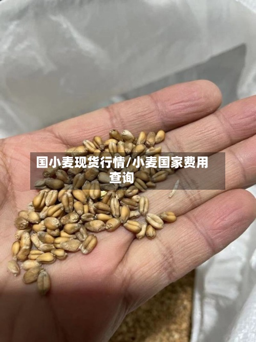 国小麦现货行情/小麦国家费用查询
