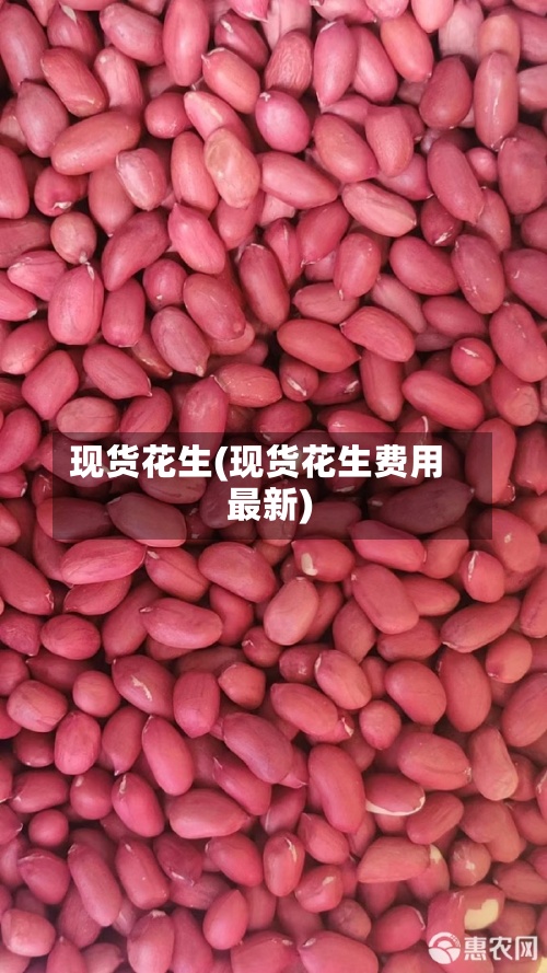 现货花生(现货花生费用 最新)-第2张图片