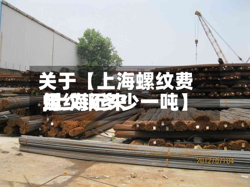 关于【上海螺纹费用,上海近来螺纹钢多少一吨】-第2张图片