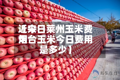 近来【今日莱州玉米费用烟台玉米今日费用是多少】-第2张图片