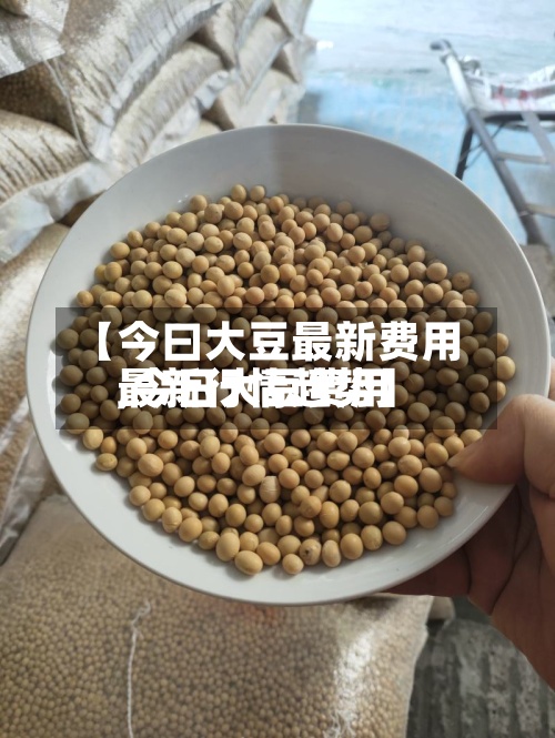 【今曰大豆最新费用,今日大豆费用最新行情趋势】-第3张图片
