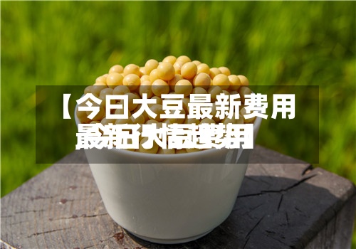 【今曰大豆最新费用,今日大豆费用最新行情趋势】-第2张图片