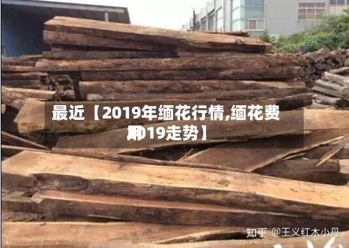 最近【2019年缅花行情,缅花费用
2019走势】-第2张图片